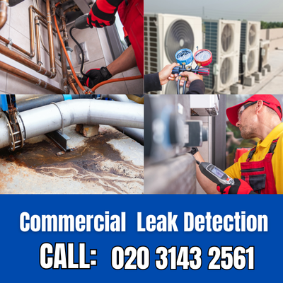 Commercial Leak Detection Services in Poplar | Poplar Leak Detection