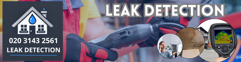 Poplar Leak Detection