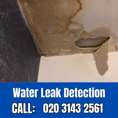 Expert Water Leak Detection Services in Poplar | Poplar Leak Detection